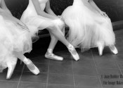 ladies-in-waiting